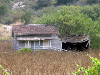 ビーチハウスの近くの怪しい小屋